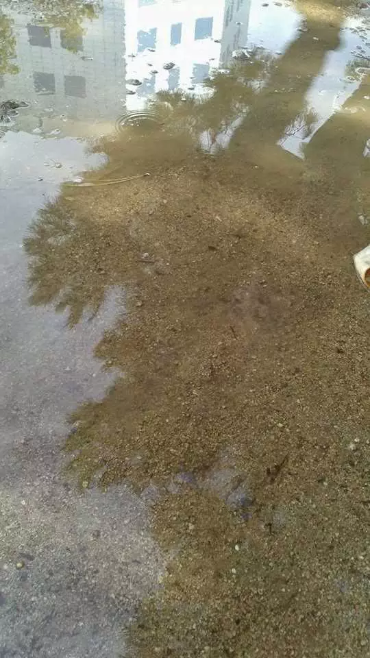 Rafa Castaner Blog Colage Barrecha Mesclat 4