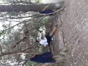 Rafa Castaner Blog Desde Fuera De La Ciudad 4