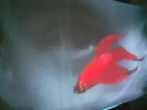 Rafa Castaner Blog Dibujar Musica Muestras De Cada Sesion 2