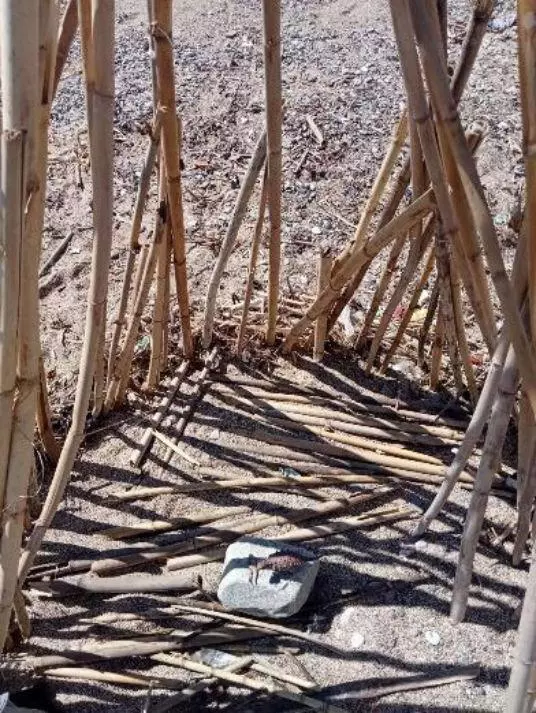 Rafa Castaner Blog Dibujar Musica Residencia Institutot Manuel Vazquez Montalban 28