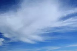 Rafa Castaner Blog Dibujar Musica Residencia Institutot Manuel Vazquez Montalban 6