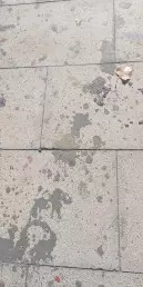 Rafa Castaner Blog Dibujar Musica Residencia Institutot Manuel Vazquez Montalban 72