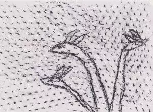 Rafa Castaner Blog Jornades Lectura Aire Lliure 6