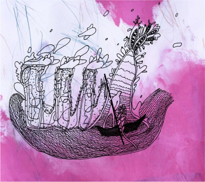 Rafa Castaner Tutorias Viaja